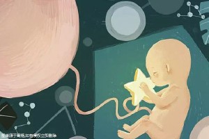 胚胎实验室主任
